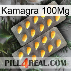 Kamagra 100Mg cialis2